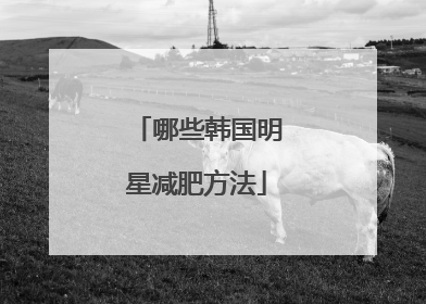 哪些韩国明星减肥方法