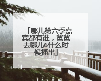 哪儿第六季嘉宾都有谁，爸爸去哪儿6什么时候播出