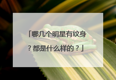 哪几个明星有纹身?都是什么样的?