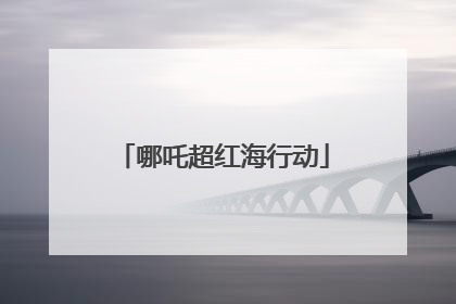 哪吒超红海行动