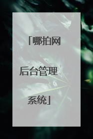 哪拍网后台管理系统