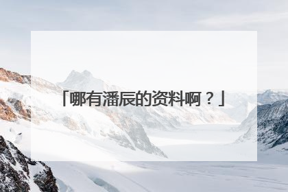 哪有潘辰的资料啊?