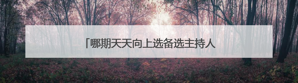 哪期天天向上选备选主持人,就是里面有RTA成员的