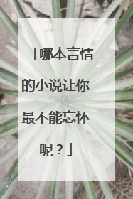 哪本言情的小说让你最不能忘怀呢?