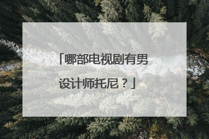 哪部电视剧有男设计师托尼?
