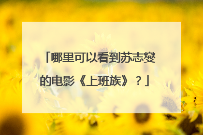 哪里可以看到苏志燮的电影《上班族》？