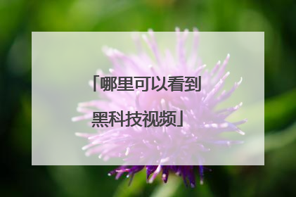 哪里可以看到黑科技视频