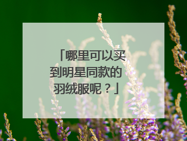 哪里可以买到明星同款的羽绒服呢?