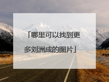 哪里可以找到更多刘洲成的图片