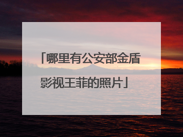 哪里有公安部金盾影视王菲的照片