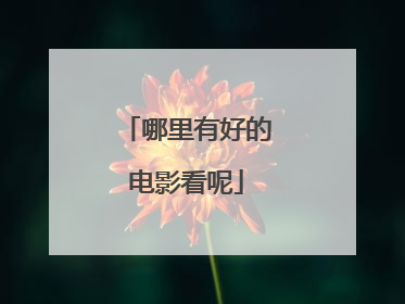 哪里有好的电影看呢