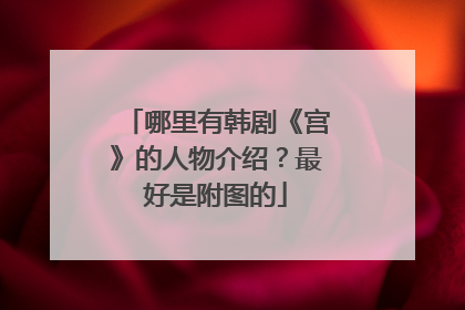 哪里有韩剧《宫》的人物介绍？最好是附图的