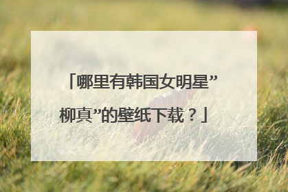哪里有韩国女明星”柳真”的壁纸下载？