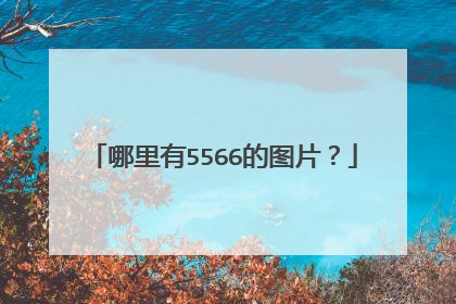 哪里有5566的图片?