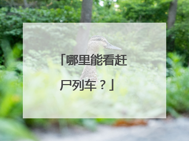 哪里能看赶尸列车？