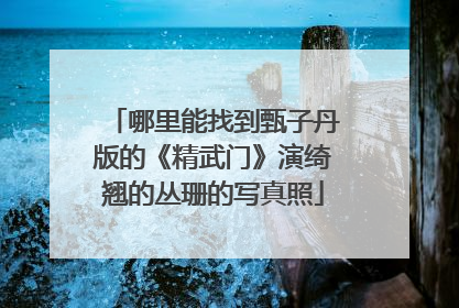 哪里能找到甄子丹版的《精武门》演绮翘的丛珊的写真照