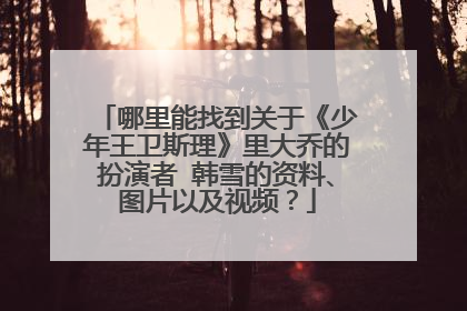 哪里能找到关于《少年王卫斯理》里大乔的扮演者 韩雪的资料、图片以及视频?