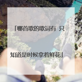 哪首歌的歌词有 只知道是时候拿着鲜花