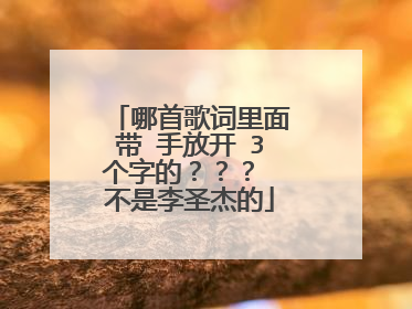 哪首歌词里面带 手放开 3个字的？？？ 不是李圣杰的