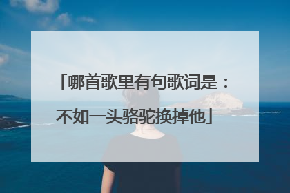 哪首歌里有句歌词是:不如一头骆驼换掉他