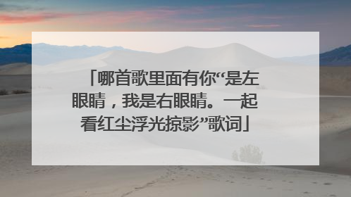 哪首歌里面有你“是左眼睛，我是右眼睛。一起看红尘浮光掠影”歌词