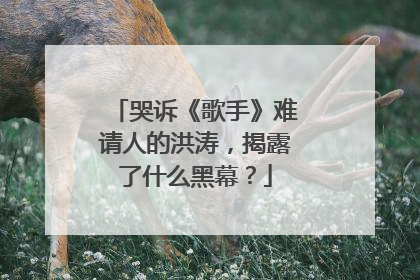 哭诉《歌手》难请人的洪涛，揭露了什么黑幕？