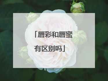 唇彩和唇蜜有区别吗