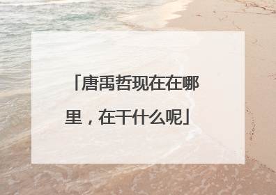 唐禹哲现在在哪里，在干什么呢