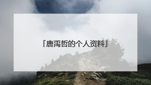 唐禹哲的个人资料