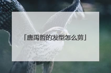 唐禹哲的发型怎么剪