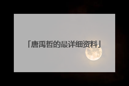 唐禹哲的最详细资料