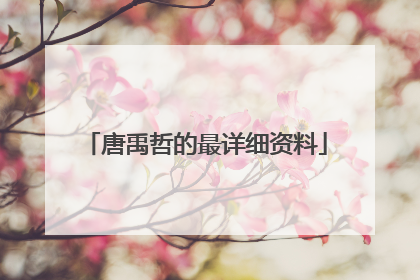 唐禹哲的最详细资料