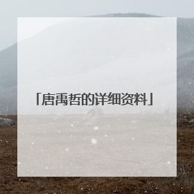 唐禹哲的详细资料