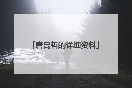 唐禹哲的详细资料