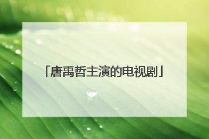 唐禹哲主演的电视剧