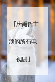 唐禹哲主演的所有电视剧