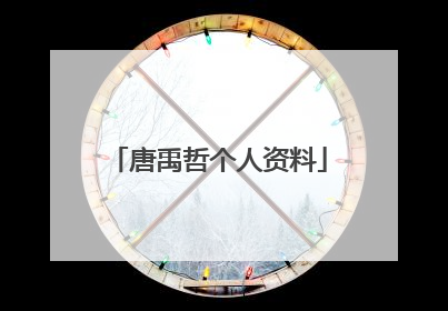 唐禹哲个人资料