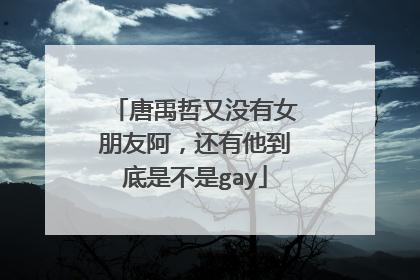 唐禹哲又没有女朋友阿，还有他到底是不是gay