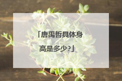 唐禹哲具体身高是多少?