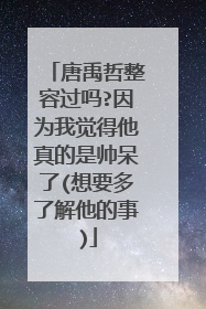 唐禹哲整容过吗?因为我觉得他真的是帅呆了(想要多了解他的事)