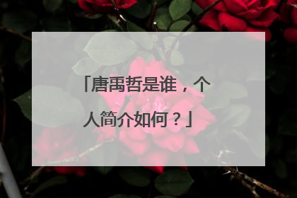 唐禹哲是谁，个人简介如何？