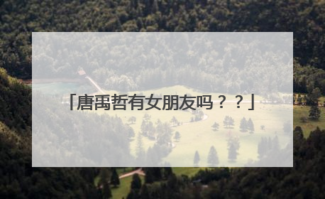 唐禹哲有女朋友吗??