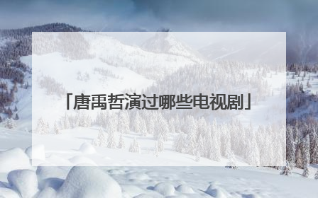 唐禹哲演过哪些电视剧