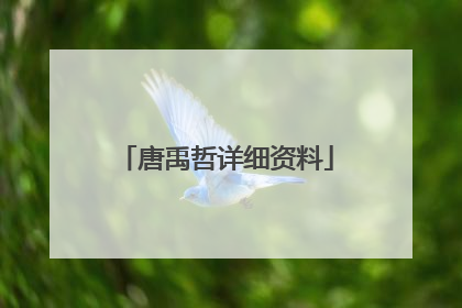 唐禹哲详细资料