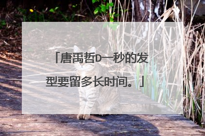 唐禹哲D一秒的发型要留多长时间。