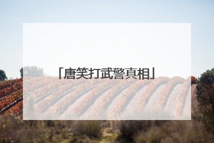 唐笑打武警真相