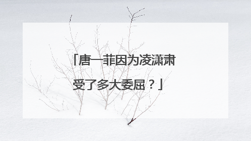 唐一菲因为凌潇肃受了多大委屈?