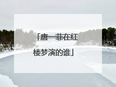 唐一菲在红楼梦演的谁