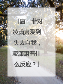 唐一菲对凌潇肃爱到失去自我，凌潇肃有什么反应？