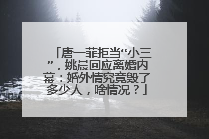 唐一菲拒当“小三”,姚晨回应离婚内幕:婚外情究竟毁了多少人,啥情况?